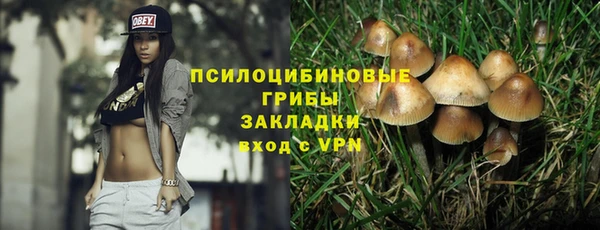 ГАЛЛЮЦИНОГЕННЫЕ ГРИБЫ Липки