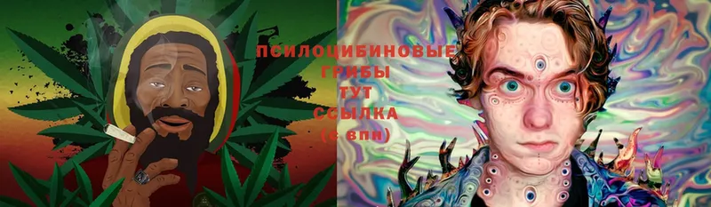 Псилоцибиновые грибы Cubensis  цены наркотик  Завитинск 